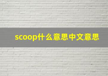 scoop什么意思中文意思