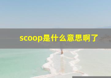 scoop是什么意思啊了