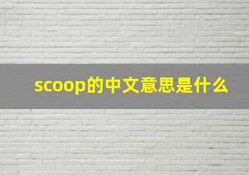 scoop的中文意思是什么