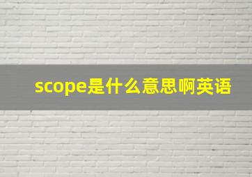 scope是什么意思啊英语