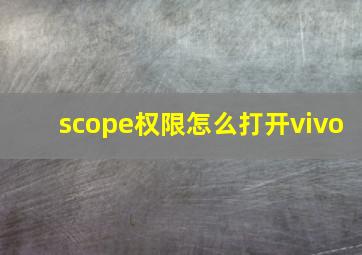 scope权限怎么打开vivo