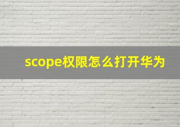 scope权限怎么打开华为