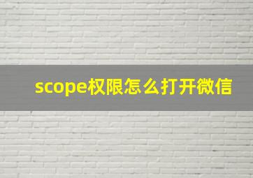 scope权限怎么打开微信