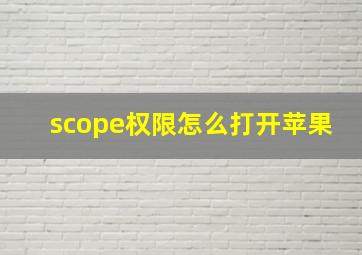 scope权限怎么打开苹果