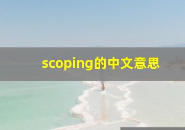 scoping的中文意思