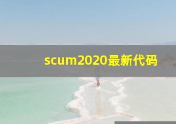 scum2020最新代码