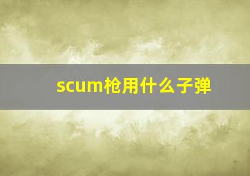 scum枪用什么子弹