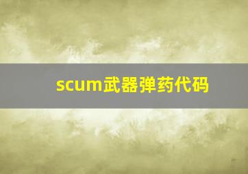 scum武器弹药代码