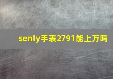 senly手表2791能上万吗