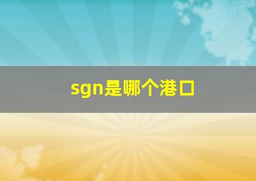 sgn是哪个港口