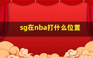 sg在nba打什么位置