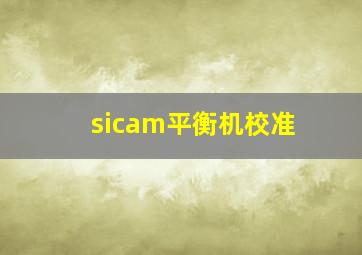 sicam平衡机校准