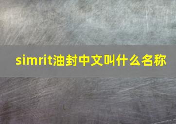 simrit油封中文叫什么名称