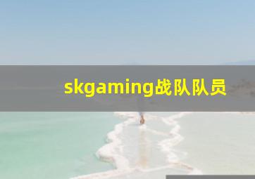 skgaming战队队员