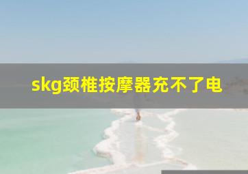 skg颈椎按摩器充不了电