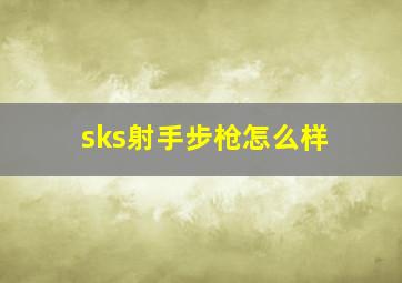 sks射手步枪怎么样