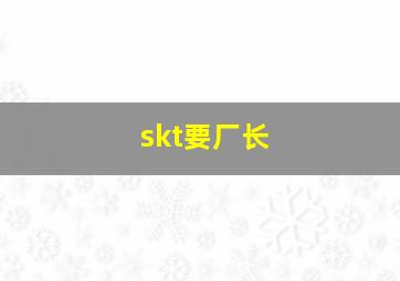 skt要厂长