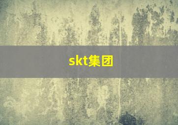 skt集团