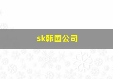 sk韩国公司