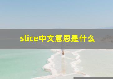 slice中文意思是什么