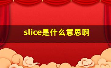 slice是什么意思啊