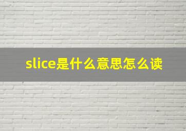 slice是什么意思怎么读