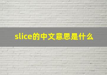 slice的中文意思是什么