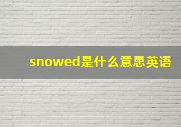 snowed是什么意思英语