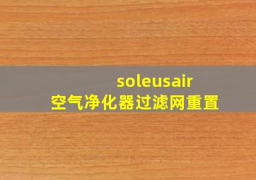 soleusair空气净化器过滤网重置