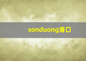 sonduong港口