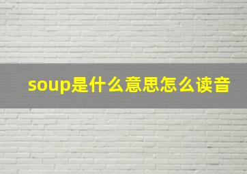 soup是什么意思怎么读音