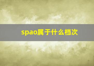 spao属于什么档次