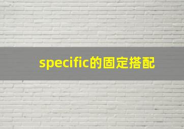 specific的固定搭配