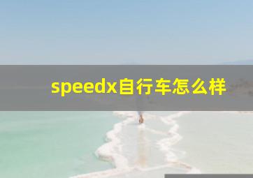 speedx自行车怎么样