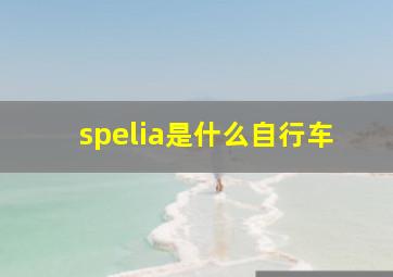 spelia是什么自行车