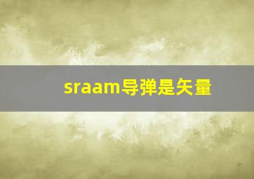 sraam导弹是矢量