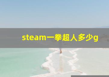 steam一拳超人多少g