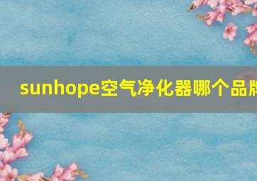 sunhope空气净化器哪个品牌