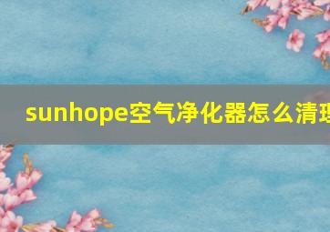 sunhope空气净化器怎么清理