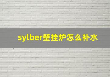 sylber壁挂炉怎么补水