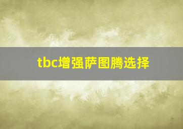 tbc增强萨图腾选择