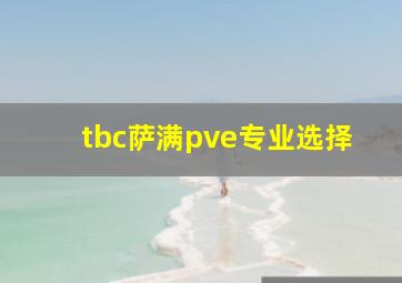 tbc萨满pve专业选择