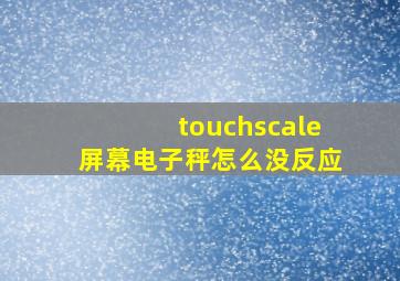 touchscale屏幕电子秤怎么没反应