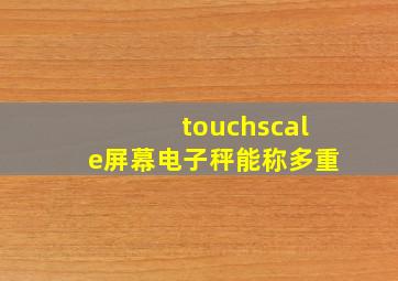 touchscale屏幕电子秤能称多重