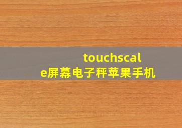 touchscale屏幕电子秤苹果手机