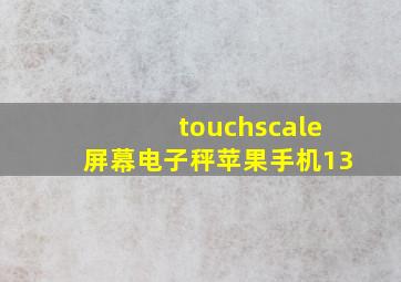 touchscale屏幕电子秤苹果手机13