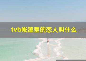 tvb帐篷里的恋人叫什么