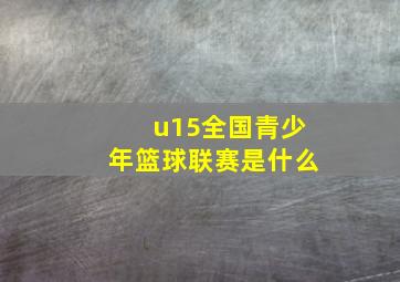 u15全国青少年篮球联赛是什么