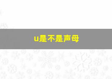 u是不是声母