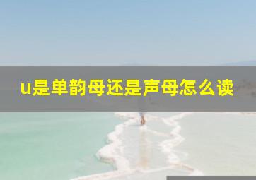 u是单韵母还是声母怎么读